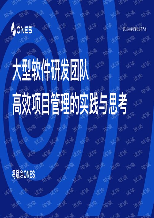 大型軟件研發(fā)團(tuán)隊高效項目管理的實踐與思考 以教育軟件為例